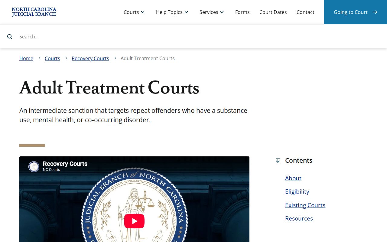 Greene County criminal docket context from Adult Treatment Court information