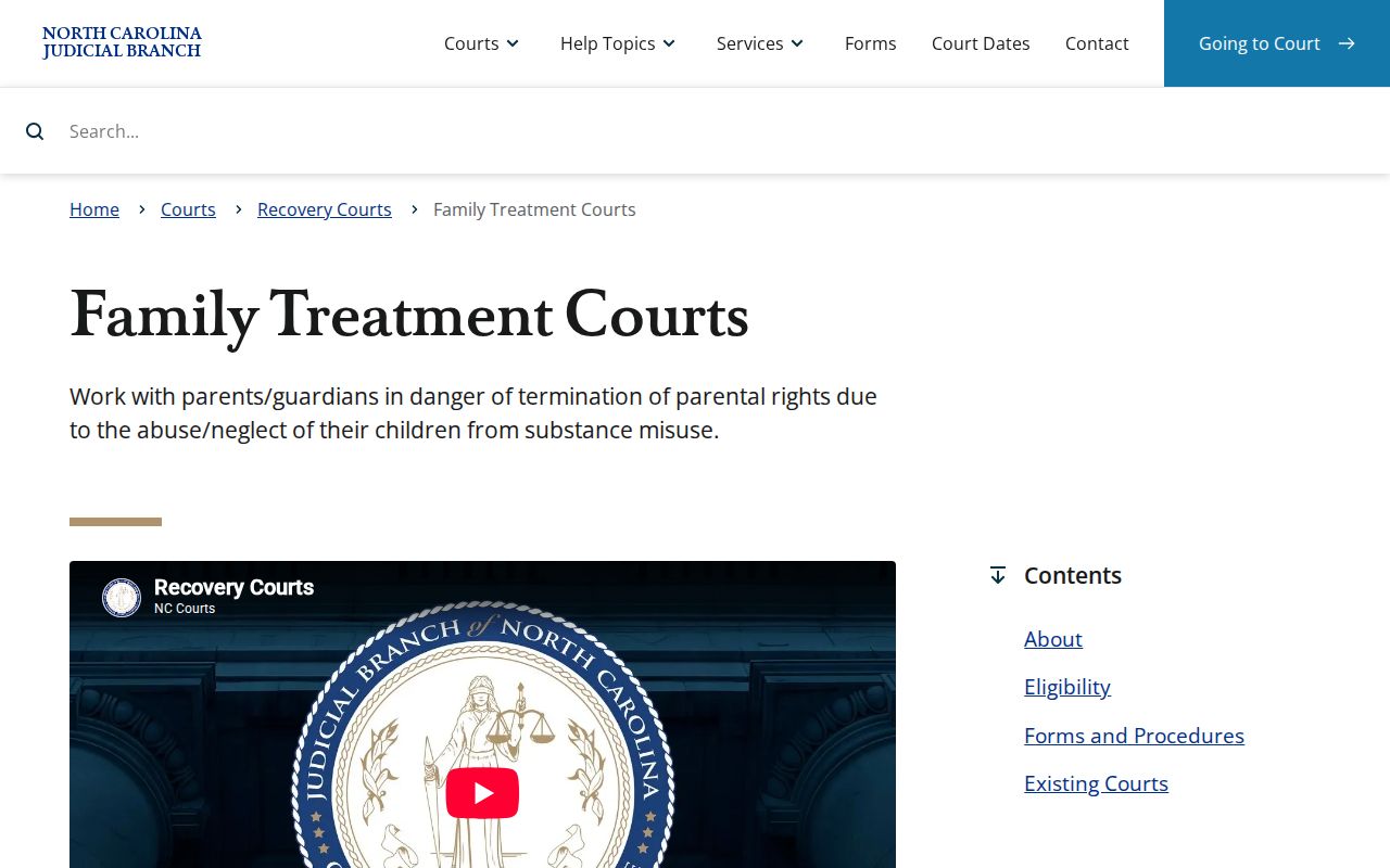 Greene County criminal docket context from Family Treatment Court information